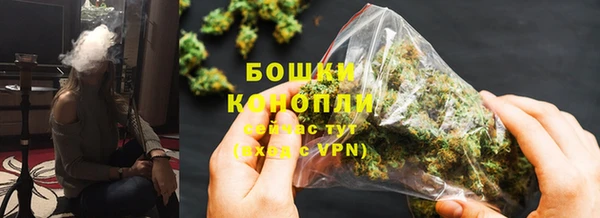 PSILOCYBIN Медногорск