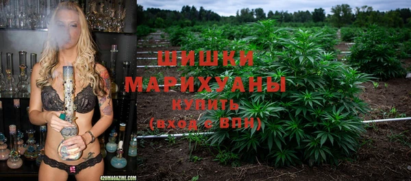 PSILOCYBIN Медногорск