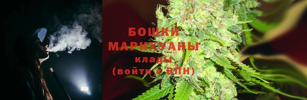 PSILOCYBIN Медногорск