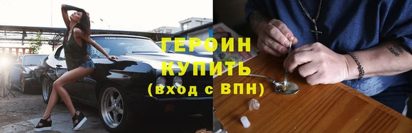прущие грибы Магас
