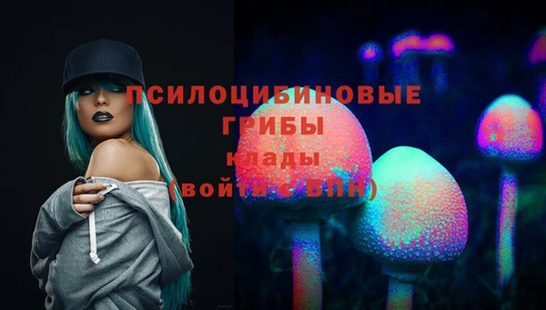 PSILOCYBIN Медногорск