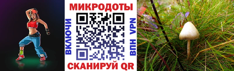 мега tor  Сухой Лог  Галлюциногенные грибы ЛСД 