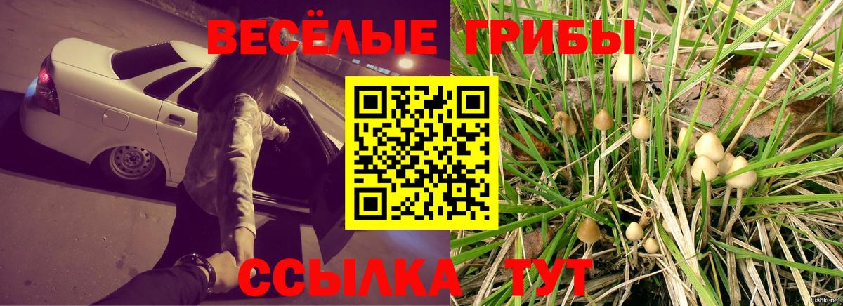 Сухой Лог  Галлюциногенные грибы GOLDEN TEACHER  Вход с VPN 