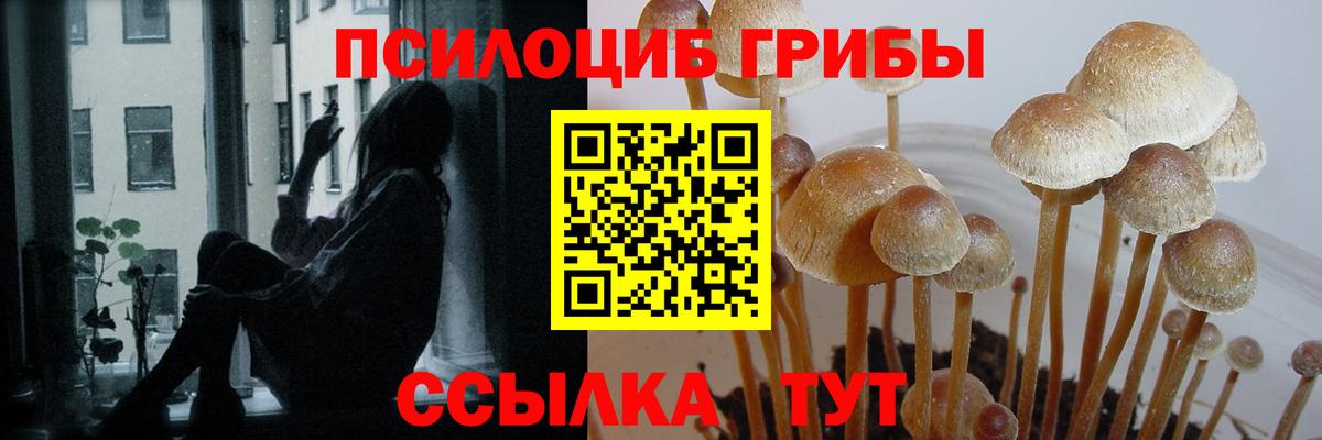 Галлюциногенные грибы ЛСД Сухой Лог